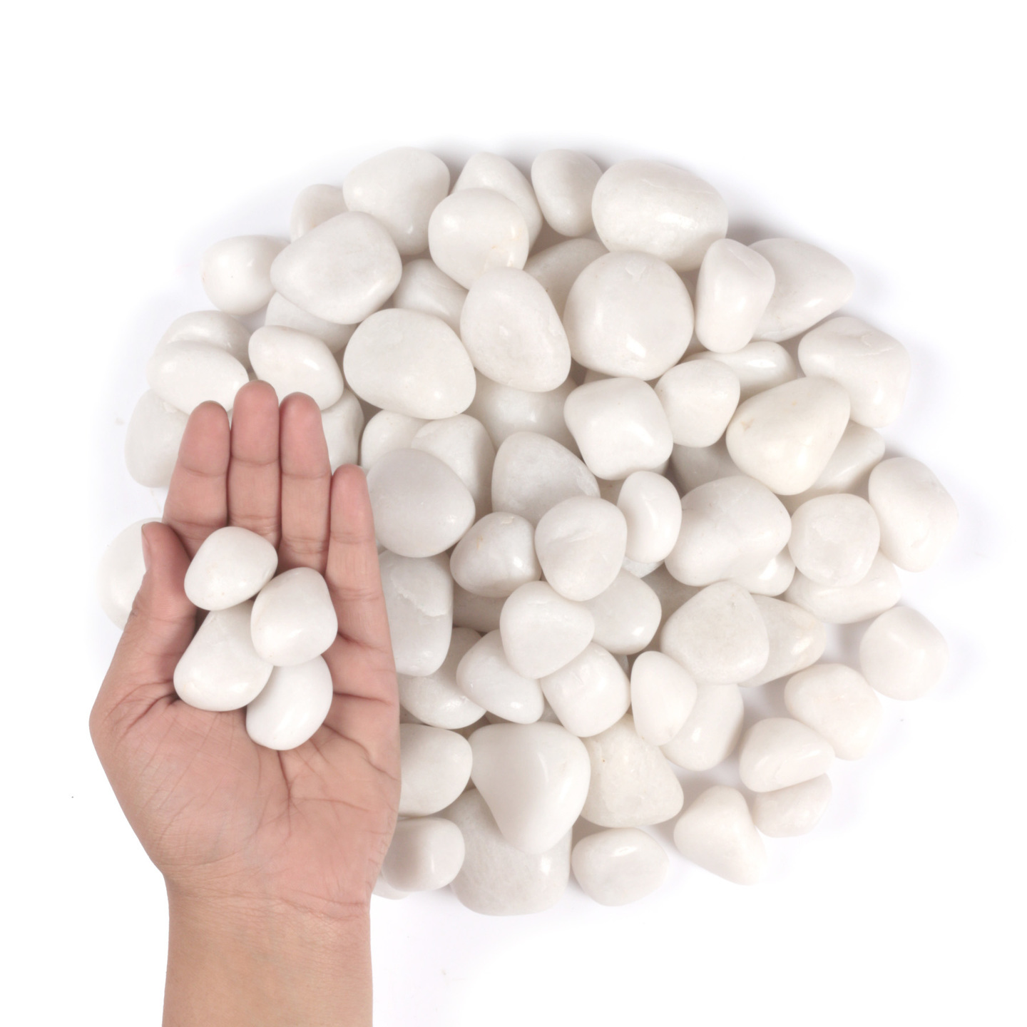 stonestories-pearl-white-m-2-3-inch1